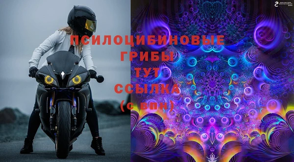 амф Бородино