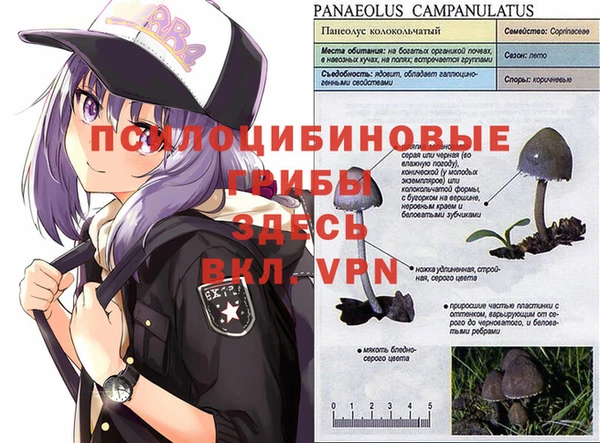 альфа пвп VHQ Верхний Тагил