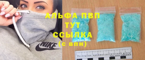 амф Бородино