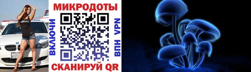 Галлюциногенные грибы Psilocybine cubensis blacksprut как войти Высоцк